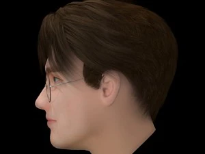 harry potter hermione 3D Model