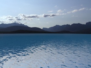 sea pack 3D Model