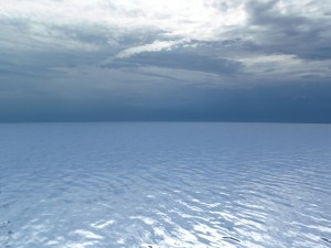 sea pack 3D Model