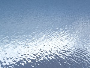 sea pack 3D Model