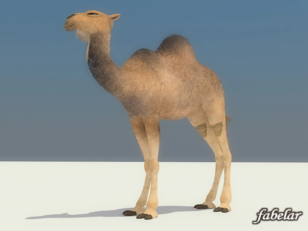 camel 3D Model .c4d .max .obj .3ds .fbx .stl .blend 