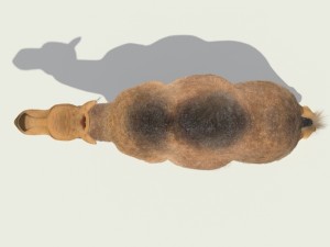 camel Modelo 3D