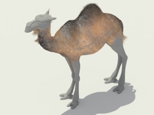 camel Modelo 3D