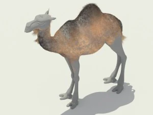 camel 3D Model