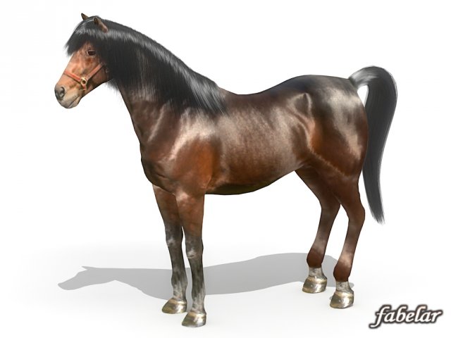 horse 3D मॉडल .c4d .max .obj .3ds .fbx .stl .blend 