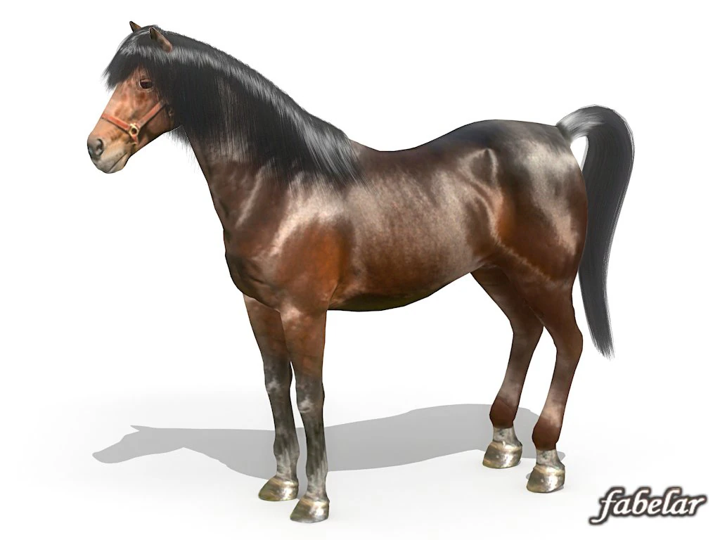 koń Model 3D .c4d .max .obj .3ds .fbx .stl .blend 