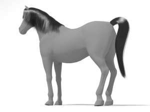horse 3D मॉडल