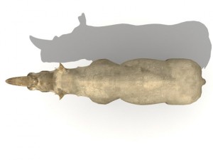 rhinoceros 3Dモデル