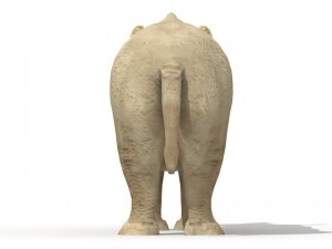 rhinoceros 3Dモデル