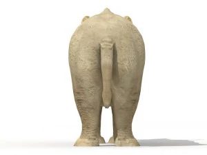 rhinoceros 3D Model