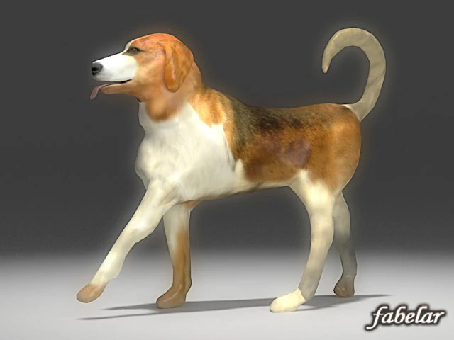 beagle 3D Model .c4d .max .obj .3ds .fbx .stl .blend
