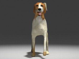 beagle 3D Model