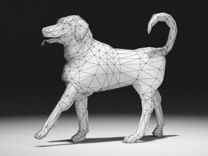 beagle 3D Model