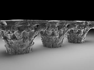 roman corinthian capital 3D Model