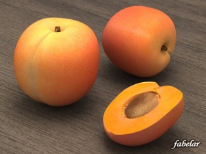 apricot 3Dモデル