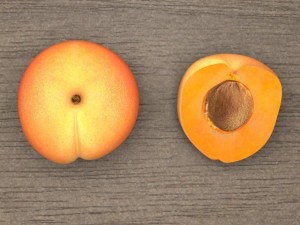 apricot Modèle 3D