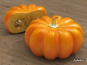 zucca Modello 3D