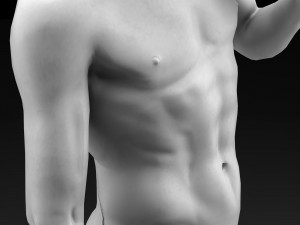 david by michelangelo Modello 3D