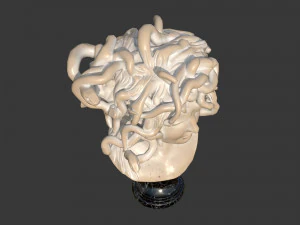Medusa del Bernini Modello 3D