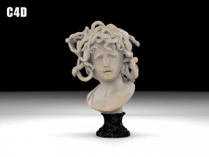 Medusa del Bernini Modello 3D