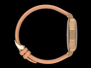 Patek Philippe rose gold 3D Model