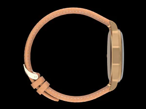Patek Philippe rose gold 3D Model