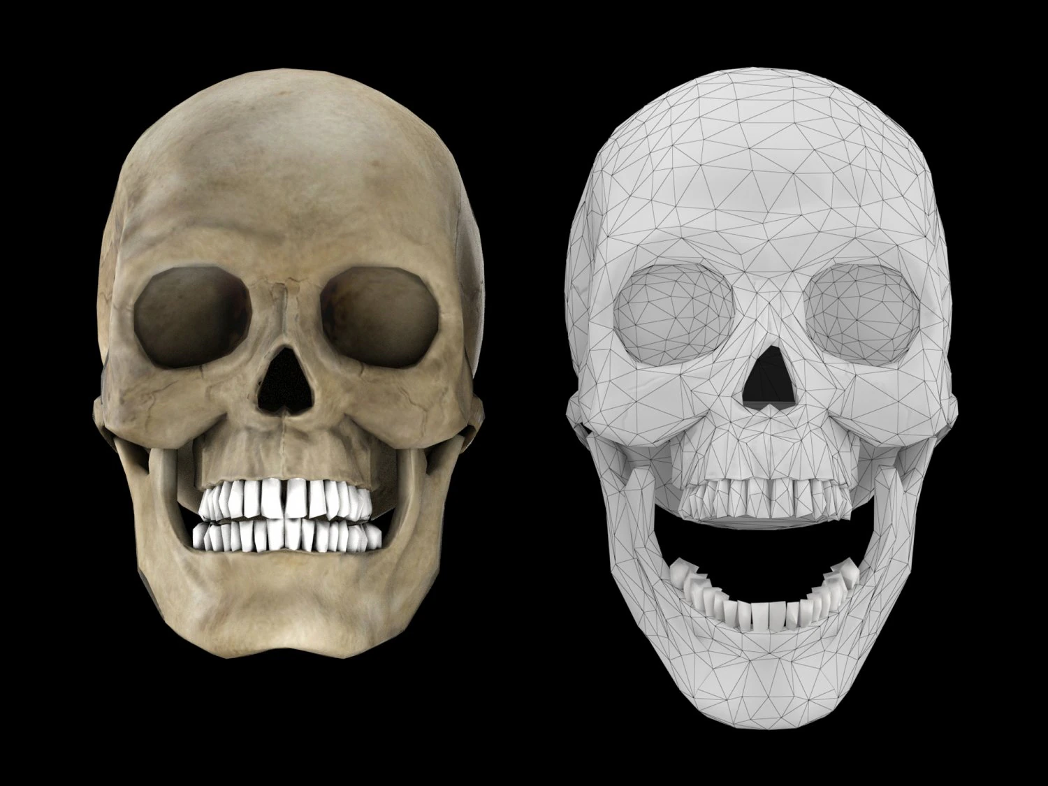 Human skull 1 Low-poly 3D Model .c4d .max .obj .3ds .fbx .stl .blend 