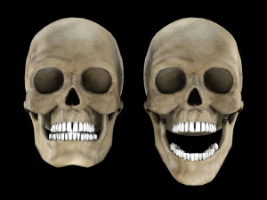 Human skull 1 Low-poly Modelo 3D