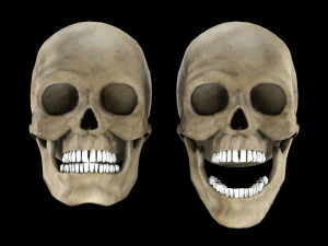 Human skull 1 Low-poly 3D Model