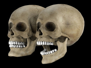 Human skull 1 Low-poly Modelo 3D