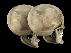 Human skull 1 Low-poly Modelo 3D