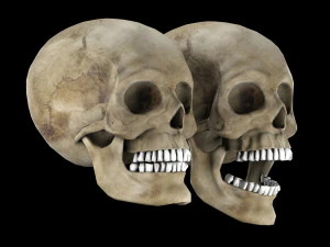 Human skull 1 Low-poly 3D Model