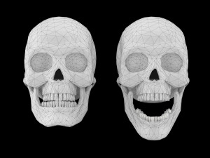 Human skull 1 Low-poly Modelo 3D