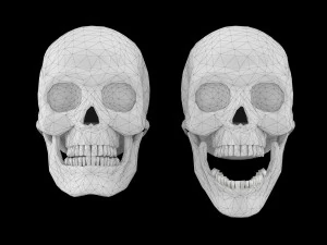 Human skull 1 Low-poly 3D Model