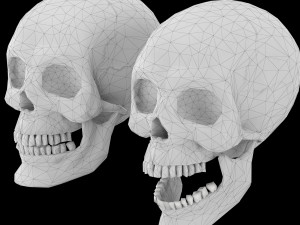 Human skull 1 Low-poly Modelo 3D