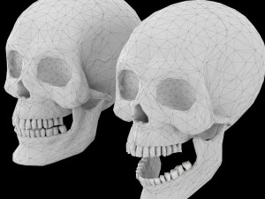 Human skull 1 Low-poly 3D Model