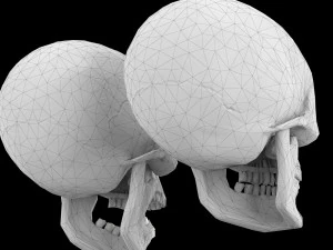 Human skull 1 Low-poly 3D Model