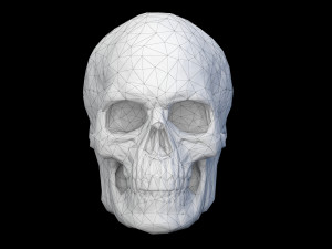 Human skull 2 3D Model