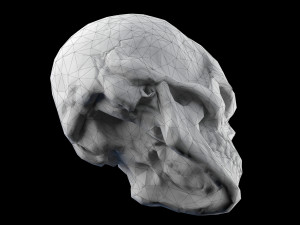 Human skull 2 3D Model