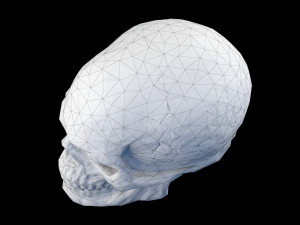 Human skull 2 3D Model