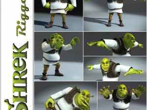 Shrek rigged 10 3D Model
