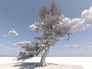 San Benedetto plane tree Model 3D