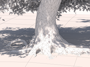 San Benedetto plane tree Model 3D