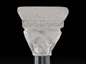 Capital 3 3D Model