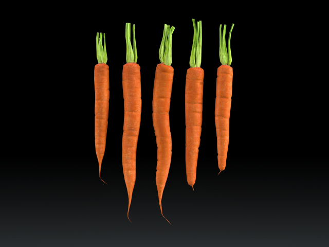 Carrots 3D Model .c4d .max .obj .3ds .fbx .stl .blend 