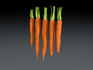 Carrots 3D Model