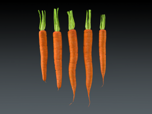 Carrots 3D Model