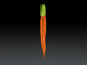 Carrots 3D Model