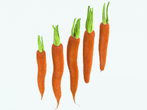Carrots 3D Model