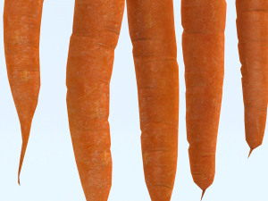 Carrots 3D Model